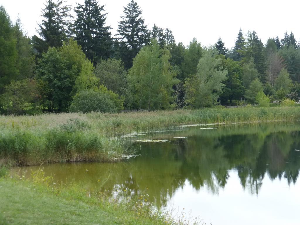 Vila Casa Pederzolli - Lagolo di Calavino Pokoj fotografie